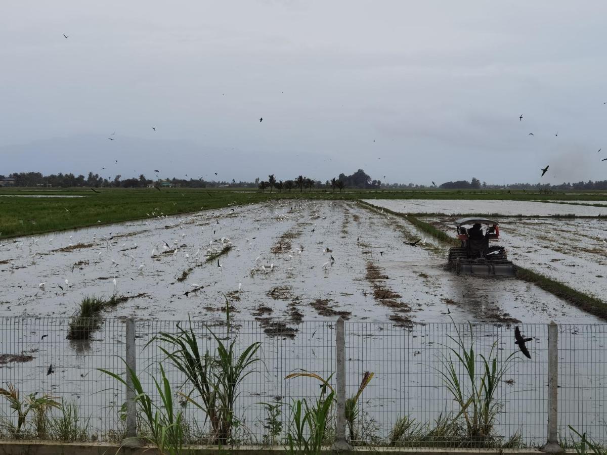 Dangau Sala D'Kontena Alor Setar Buitenkant foto