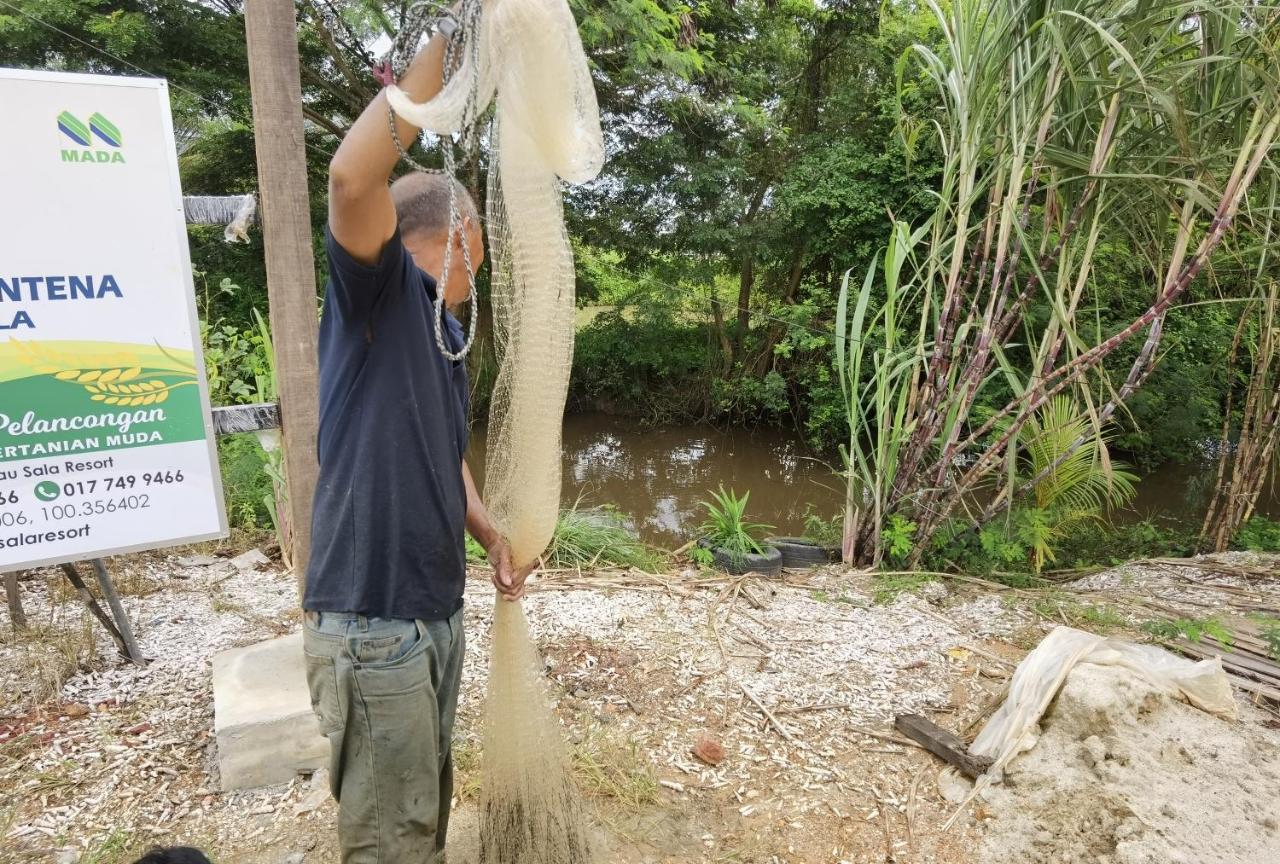 Dangau Sala D'Kontena Alor Setar Buitenkant foto